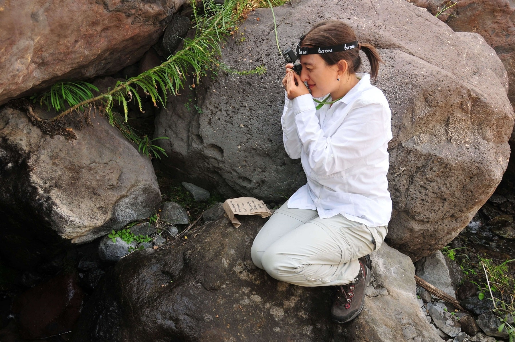 Las desconocidas plantas descubiertas en la RN Río de los Cipreses