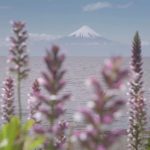 PTI Destino Creativo Lago Llanquihue: el programa que busca posicionar a la Cuenca del Lago Llanquihue como centro creativo en el sur de Chile