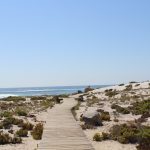 <strong>Parque Nacional Llanos de Challe: la combinación perfecta entre playa y desierto</strong>