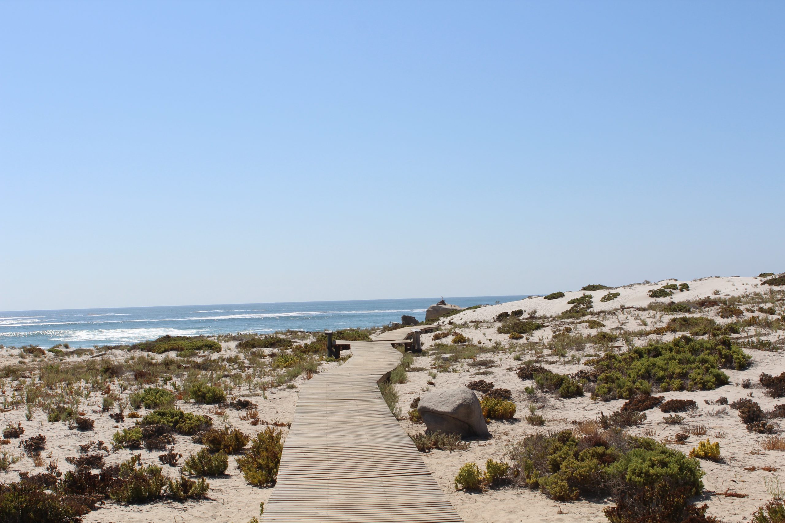 <strong>Parque Nacional Llanos de Challe: la combinación perfecta entre playa y desierto</strong>