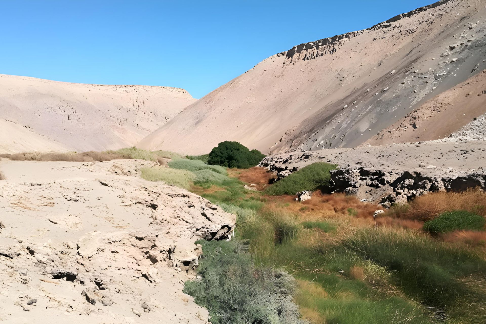 Santuario de la Naturaleza Quebrada Ojo de Opache