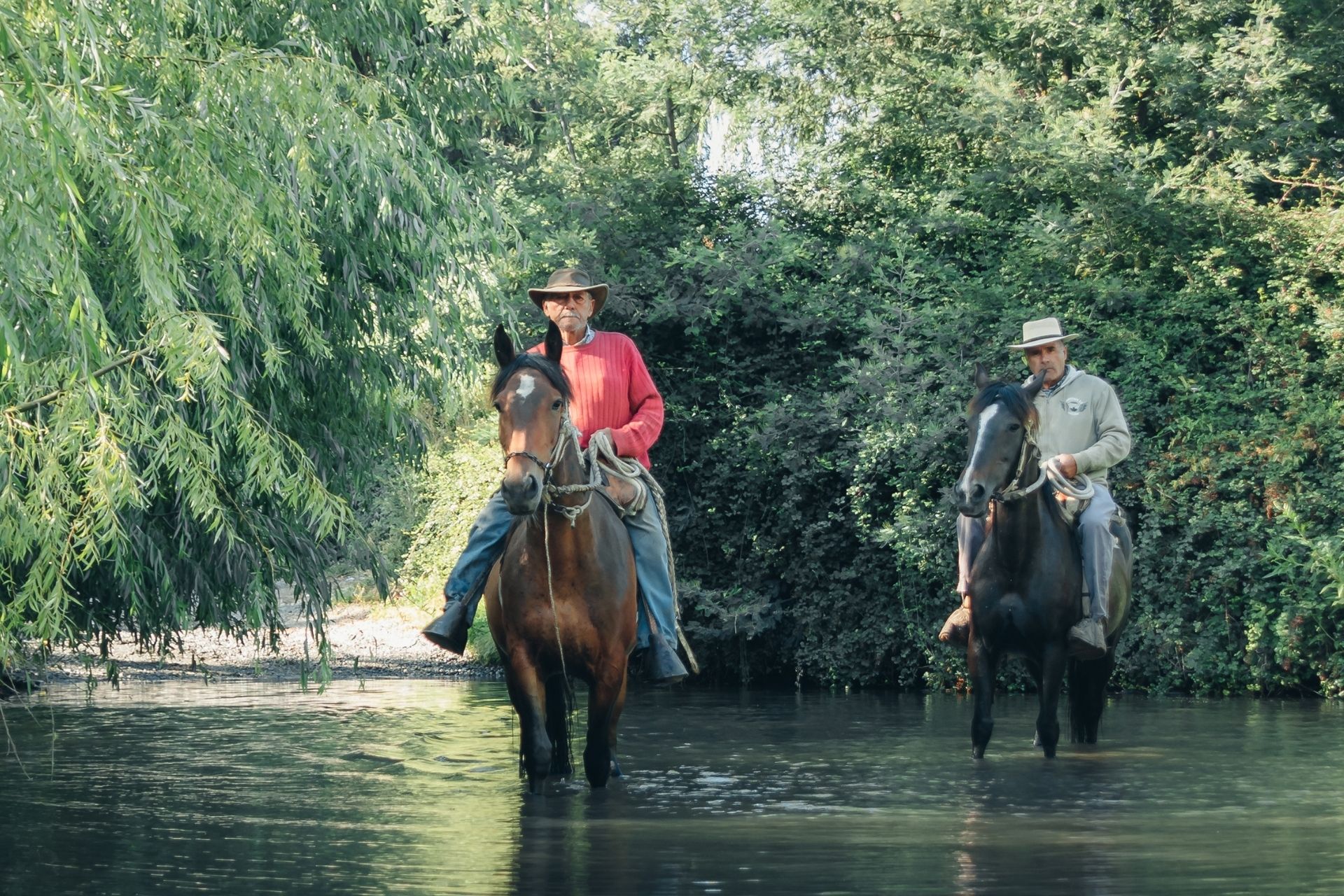 Turismo Rural Sostenible Campos de O'Higgins