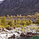 ¡La Región de Ñuble tendrá su primer Parque Nacional! Una gran noticia para el turismo, la conservación y las comunidades