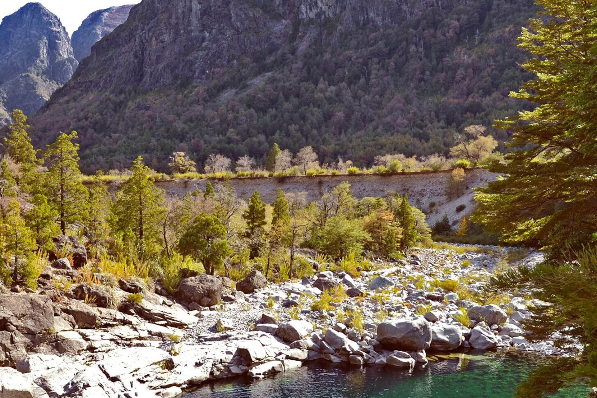 ¡La Región de Ñuble tendrá su primer Parque Nacional! Una gran noticia para el turismo, la conservación y las comunidades