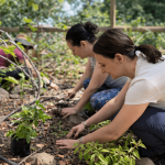 Parque Cordillera ofrecerá actividades al aire libre exclusivas para mujeres