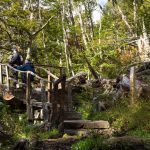 Parque Etnobotánico Omora: el fascinante destino del fin del mundo en Chile