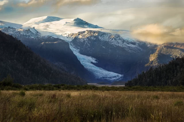 🌿✨ Los majestuosos bosques del Parque Nacional Pumalín Douglas Tompkins se despliegan hasta los fiordos, creando uno de los bordes costeros más espectaculares del planeta. 

🏞️ Cientos de cascadas caen desde los ventisqueros sobre paredes de granito, mientras los imponentes volcanes Michimahuida y Chaitén se alzan en el horizonte. 🌋

El verdadero protagonista es el alerce, una especie amenazada que encuentra refugio en este parque. 

🏞️Un 25% de los alerces remanentes de Chile habitan aquí, con casi 3 mil años de historia en este prístino ecosistema de la Región de Los Lagos, que abarca Chaitén, El Amarillo, Hornopirén, Futaleufú y Alto Palena.

📷 Sernatur

___
#redturismochile #TurismoSustentable #ParqueNacionalPumalín #DouglasTompkins #Conservación #Alerce #Chile #Chaitén #Futaleufú #AltoPalena #Hornopirén #ElAmarillo #patagonia #patagoniachilena 
Descubre la naturaleza en su máxima expresión y únete a la conservación de este invaluable tesoro natural. 🌍🍃