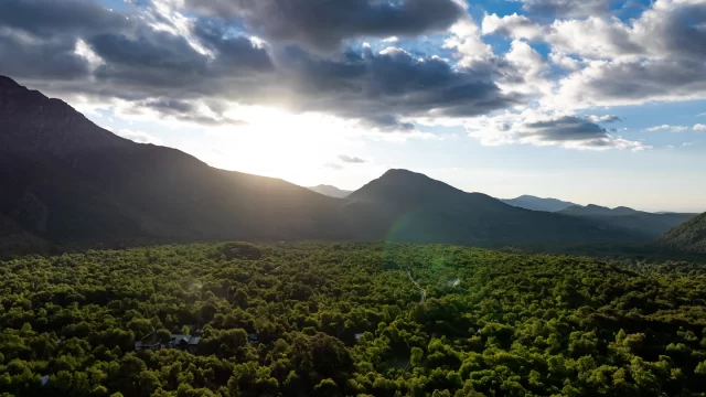 🌲🏞️ ¡Descubre el Valle Las Trancas, un paraíso natural en los Andes! 🏔️❄️

El Valle Las Trancas es un destino único que te invita a disfrutar de la naturaleza en su estado más puro. Ubicado a los pies de la majestuosa Cordillera de Los Andes, este valle ofrece un entorno impresionante de bosque nativo, alturas, cascadas y hermosos senderos naturales. 😍🌳

🌟 Atractivos durante todo el año:

En invierno, las Termas de Chillán y los Nevados de Chillán te ofrecen la oportunidad de esquiar entre bosques milenarios o disfrutar de sus 10 mil hectáreas de dominio esquiable. 🎿❄️

En verano, puedes disfrutar de paseos en la Laguna del Huemul o explorar la Reserva Nacional Ñuble, con sus impresionantes paisajes y baños termales. 🏞️💧

🚶‍♂️ Si eres amante de las caminatas, te espera un trekking desafiante de 7 horas hasta la Laguna Huemul, un lugar mágico al que puedes llegar con raquetas de nieve o a caballo. 🐴

🌲 Reserva Nacional Ñuble: Un lugar con 75.078 hectáreas de belleza natural, que incluye una laguna glaciar y paisajes que te dejarán sin aliento. ¡Un imperdible de la región!

Si buscas una aventura de montaña, ¡el Valle Las Trancas es tu próximo destino! 🌄✨

📌Región de Ñuble 🇨🇱

📷 Sernatur
___
#redturismochile #redturismo #ValleLasTrancas #AventuraEnLaCordillera #Naturaleza #TermasDeChillán #NevadosDeChillán #ReservaNacionalÑuble #Trekking