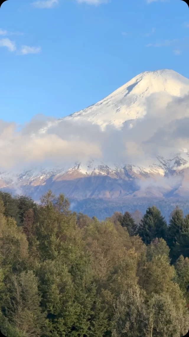 🗻Volcán Villarrica: el guardián del sur

Imponente, vivo y lleno de historia, el Volcán Villarrica es uno de los íconos naturales más majestuosos de nuestro país. Ubicado en la Región de La Araucanía, este gigante es mucho más que un atractivo turístico: es parte de nuestro patrimonio natural, testigo del tiempo y hogar de una biodiversidad única.

🌿Proteger nuestros ecosistemas es también proteger nuestra identidad. Cada sendero, cada bosque, cada especie que habita sus alrededores nos recuerda la enorme riqueza que tenemos como país.

📍 Pucón

🎥 @redturismochile 

___
#redturismochile #redturismo #pucon #pucón #puconchile #puconelcentrodelsurdechile #turismo #travel #volcanvillarrica #volcanvillarricachile #volcan #volcanic #volcanoes #rukapillan